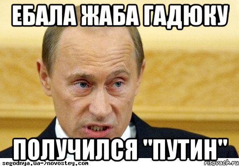 ебала жаба гадюку получился "путин", Мем  Путин