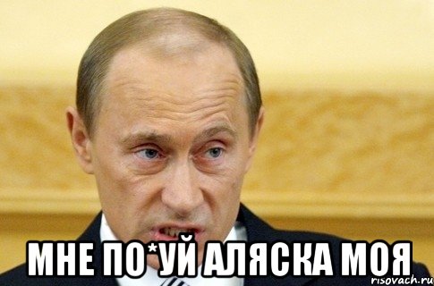  Мне по*уй Аляска моя, Мем путин