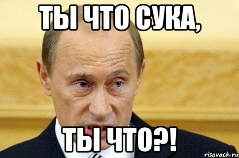 Ты что сука, ты что?!, Мем путин