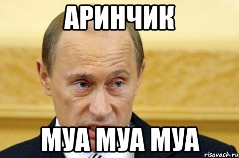 Аринчик муа муа муа, Мем путин