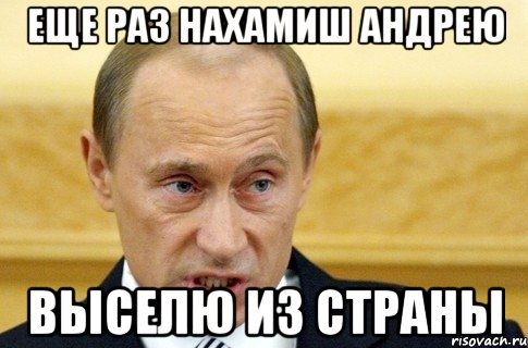 еще раз нахамиш андрею выселю из страны, Мем путин