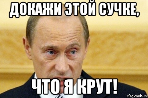 Докажи этой сучке, что я крут!, Мем путин