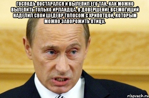 Господь постарался и вылепил его так, как можно вылепить только ирландца. В довершение Всемогущий наделил свой шедевр голосом с хрипотцой, которым можно заворожить птицу. , Мем путин