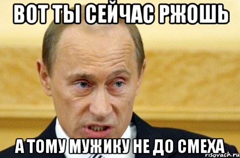 вот ты сейчас ржошь а тому мужику не до смеха, Мем путин