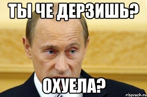 Ты че дерзишь? Охуела?, Мем путин