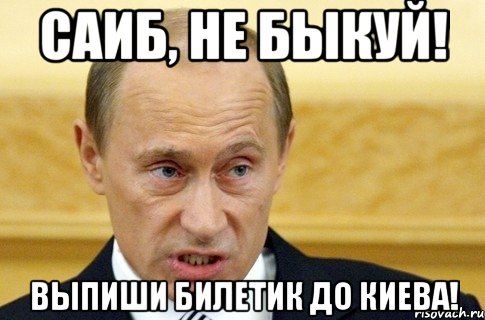 САИБ, НЕ БЫКУЙ! ВЫПИШИ БИЛЕТИК ДО КИЕВА!, Мем путин