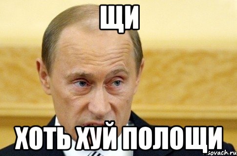 Щи Хоть хуй полоЩИ, Мем путин