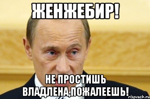 Женжебир! Не простишь Владлена,пожалеешь!, Мем путин