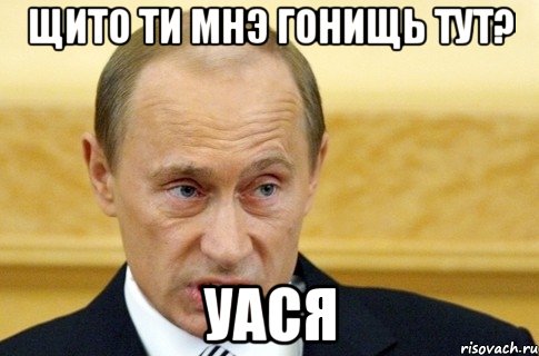 щито ти мнэ гонищь тут? уася, Мем путин