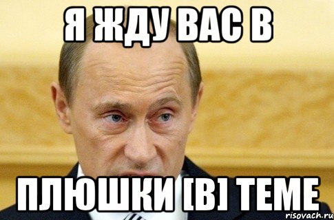 Я жду вас в плюшки [B] теме, Мем путин