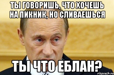 Ты говоришь, что хочешь на пикник, но сливаешься ты что еблан?, Мем путин