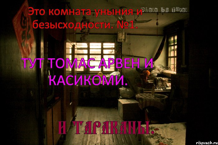 Это комната уныния и безысходности. №1. Тут Томас Арвен и Касикоми. И тараканы., Комикс пв