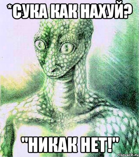 *Сука как нахуй? "Никак нет!"