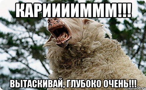 Карииииммм!!! вытаскивай, глубоко очень!!!