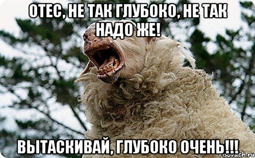 Отес, не так глубоко, не так надо же! вытаскивай, глубоко очень!!!