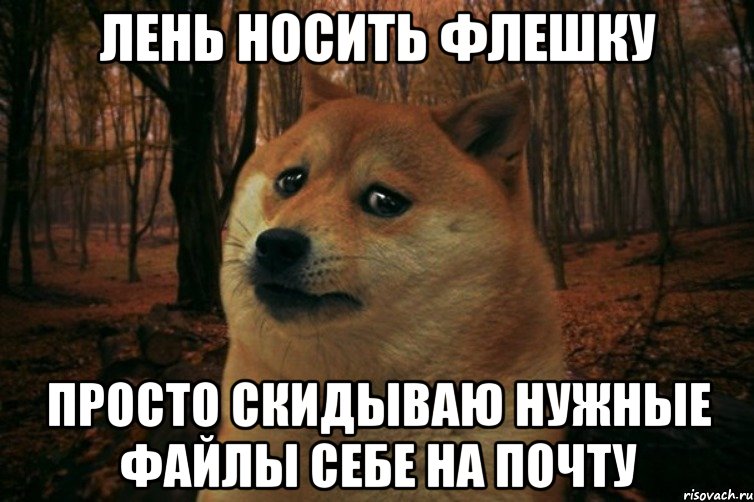 Лень носить флешку просто скидываю нужные файлы себе на почту, Мем SAD DOGE