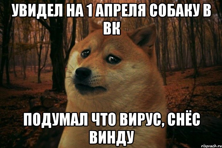 Увидел на 1 апреля собаку в ВК подумал что вирус, снёс винду, Мем SAD DOGE