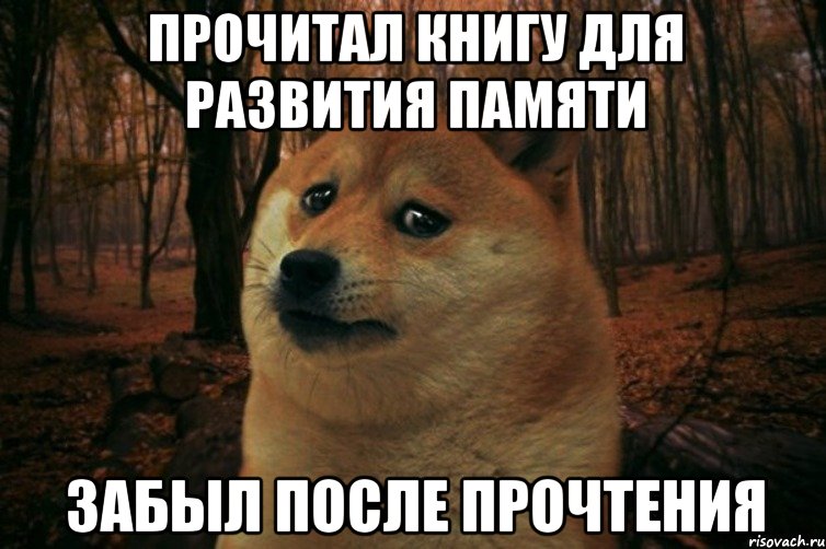 прочитал книгу для развития памяти забыл после прочтения, Мем SAD DOGE