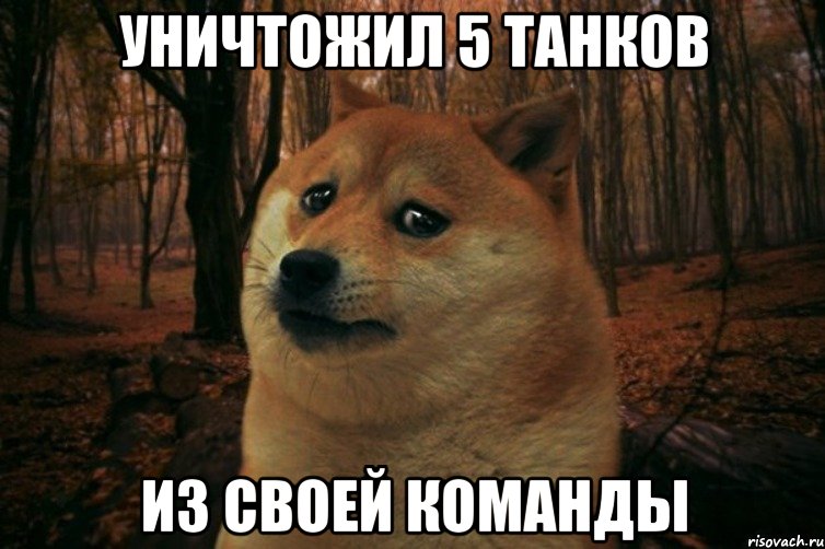 Уничтожил 5 танков из своей команды, Мем SAD DOGE