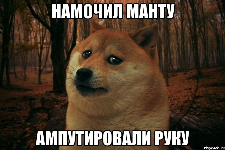 намочил манту ампутировали руку, Мем SAD DOGE