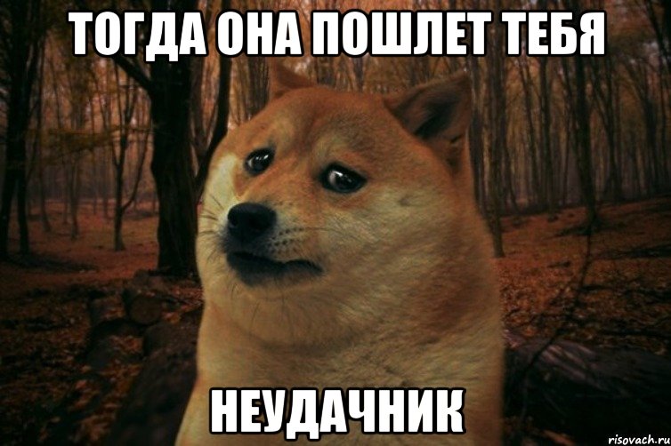 Тогда она пошлет тебя неудачник, Мем SAD DOGE