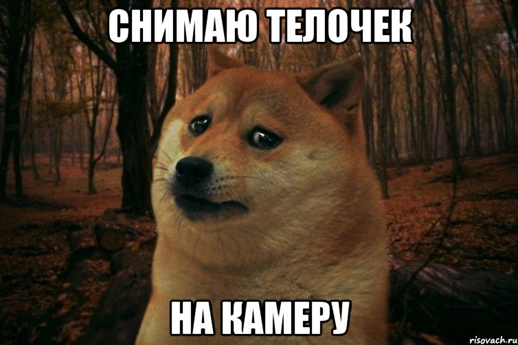 Снимаю телочек на камеру, Мем SAD DOGE