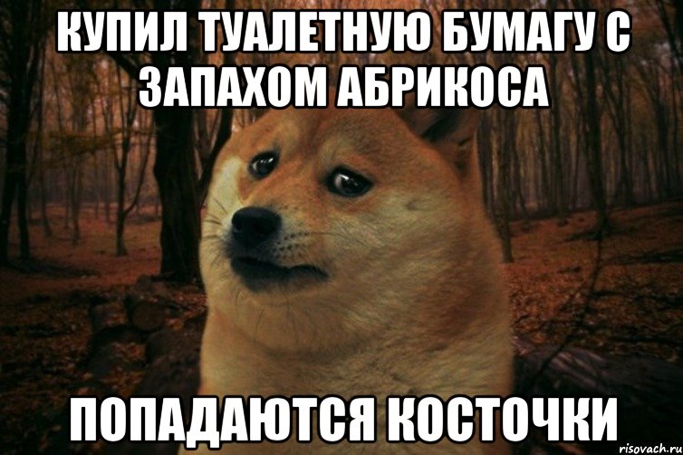 купил туалетную бумагу с запахом абрикоса попадаются косточки, Мем SAD DOGE