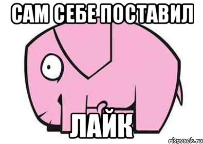 Как я сделала себя сама