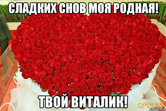 Сладких снов моя родная! Твой Виталик!, Мем самой красивой девушке на свете