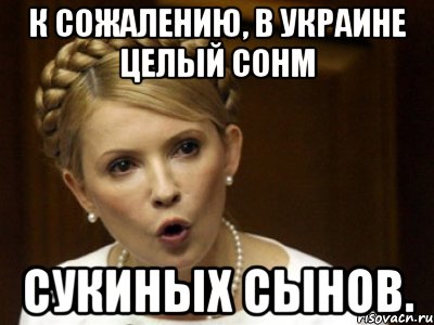 К сожалению, в Украине целый сонм сукиных сынов.