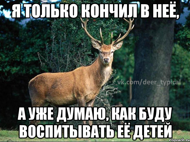 Я только кончил в неё, а уже думаю, как буду воспитывать её детей, Мем Паблик Типичный олень