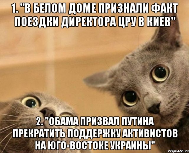 1. "В Белом доме признали факт поездки директора ЦРУ в Киев" 2. "Обама призвал Путина прекратить поддержку активистов на юго-востоке Украины", Мем ШТА