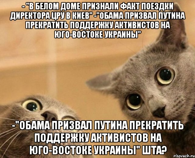 - "В Белом доме признали факт поездки директора ЦРУ в Киев" -"Обама призвал Путина прекратить поддержку активистов на юго-востоке Украины" -"Обама призвал Путина прекратить поддержку активистов на юго-востоке Украины" ШТА?, Мем ШТА