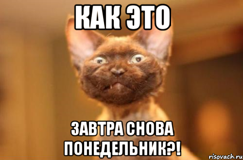 http://risovach.ru/upload/2014/04/mem/shtazavtra-snova-ponedelnik_47807180_orig_.png