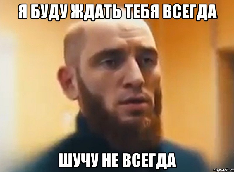 Я буду ждать тебя всегда Шучу не всегда, Мем Шучу