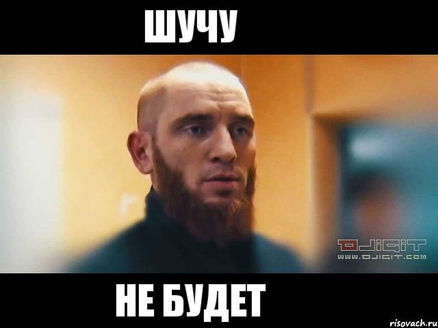 ШУЧУ НЕ БУДЕТ, Мем Шучу