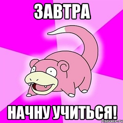Завтра Начну учиться!, Мем слоупок