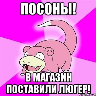 Посоны! В магазин поставили люгер!, Мем слоупок