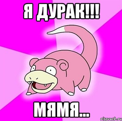 я дурак!!! мямя..., Мем слоупок