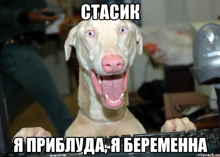 СТАСИК Я ПРИБЛУДА, Я БЕРЕМЕННА