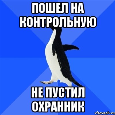 пошел на контрольную не пустил охранник, Мем  Социально-неуклюжий пингвин