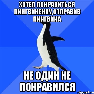 Хотел понравиться пингвиненку,отправив пингвина Не один не понравился, Мем  Социально-неуклюжий пингвин