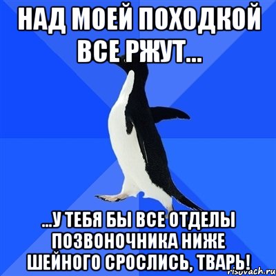 Над моей походкой все ржут... ...у тебя бы все отделы позвоночника ниже шейного срослись, тварь!, Мем  Социально-неуклюжий пингвин