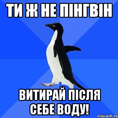 ТИ Ж НЕ ПІНГВІН ВИТИРАЙ ПІСЛЯ СЕБЕ ВОДУ!, Мем  Социально-неуклюжий пингвин