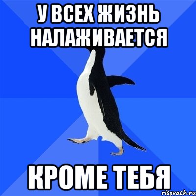 у всех жизнь налаживается кроме тебя, Мем  Социально-неуклюжий пингвин