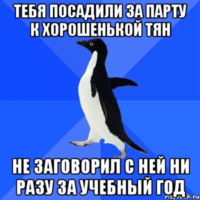 тебя посадили за парту к хорошенькой тян не заговорил с ней ни разу за учебный год, Мем  Социально-неуклюжий пингвин