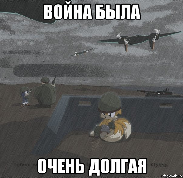 война была очень долгая, Мем соник