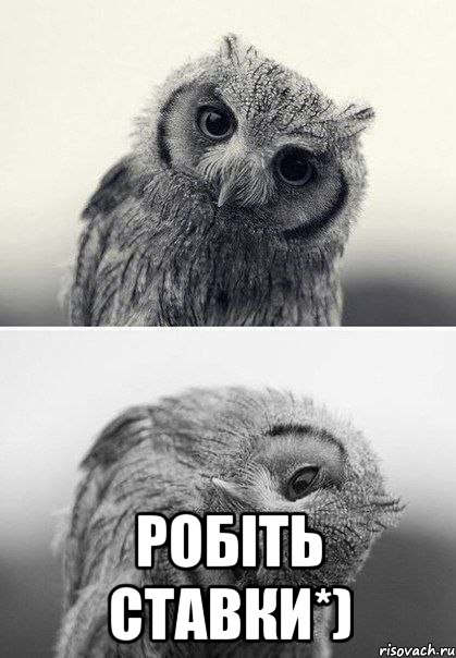  Робіть ставки*)