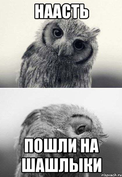 Наасть пошли на шашлыки