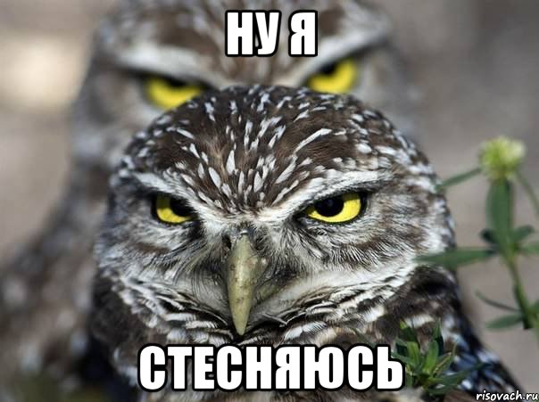 Ну я Стесняюсь